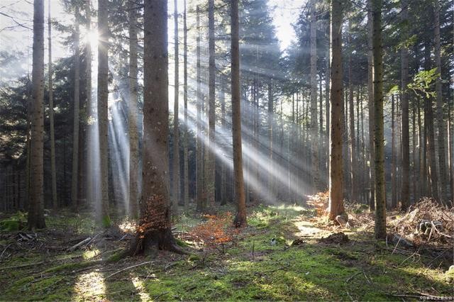 什么是负折射率？何为负折射率？