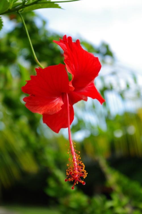 享受数码的乐趣宾得K-7数码滤光镜实拍(2)