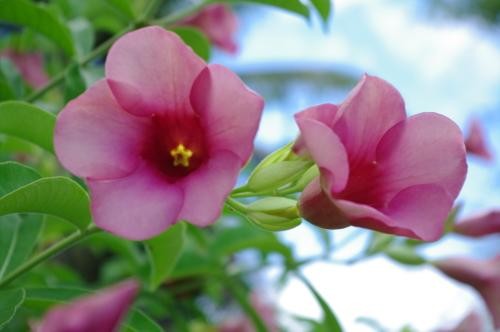 享受数码的乐趣宾得K-7数码滤光镜实拍(2)