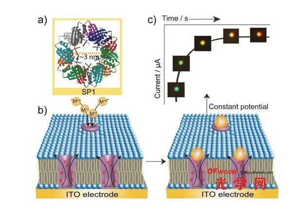 利用单纳米粒子散射光谱技术实时追踪生物分子