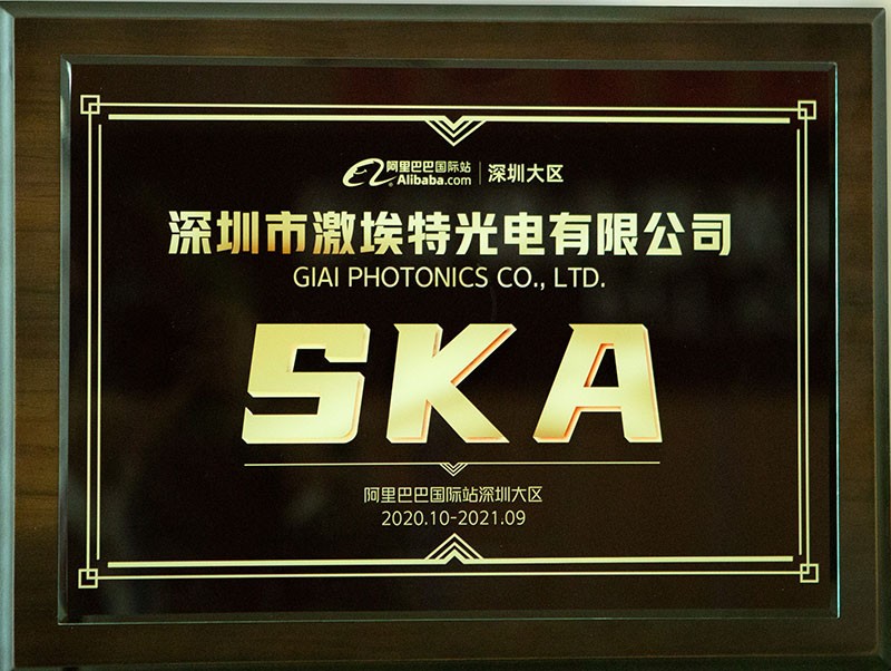 阿里巴巴国际站认证SKA