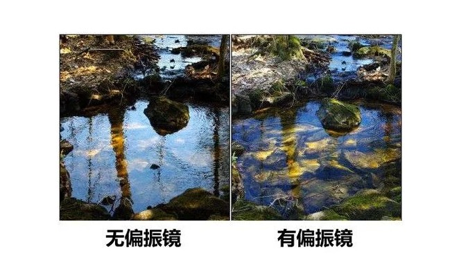 偏振片效果对比