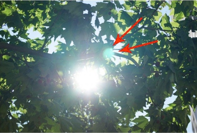 一文带你了解镜头眩光以及如何避免