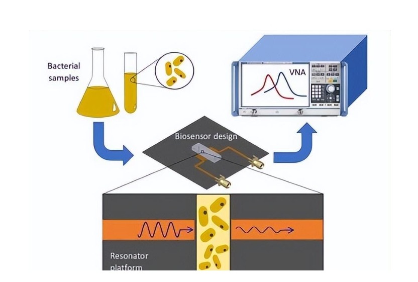 生物样本光学传感器中有色玻璃的应用