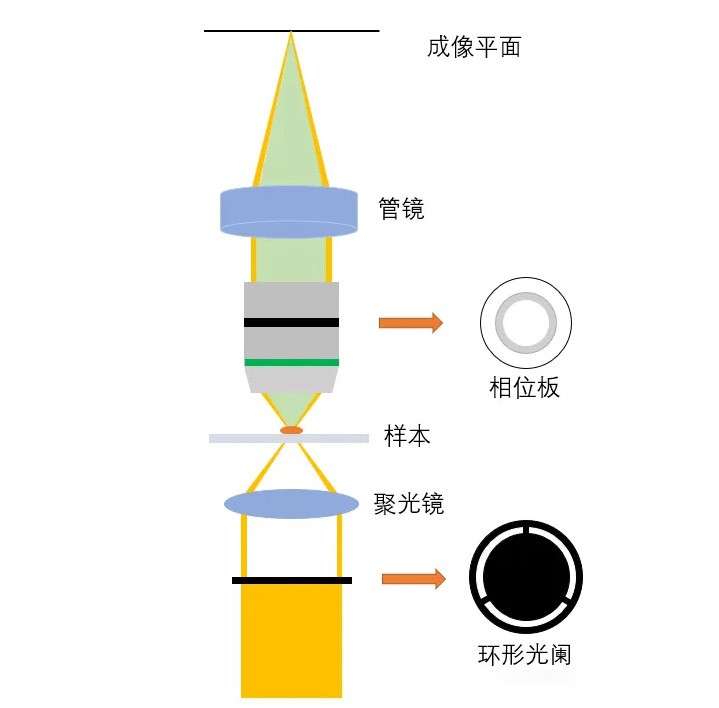 光学系统与工作原理
