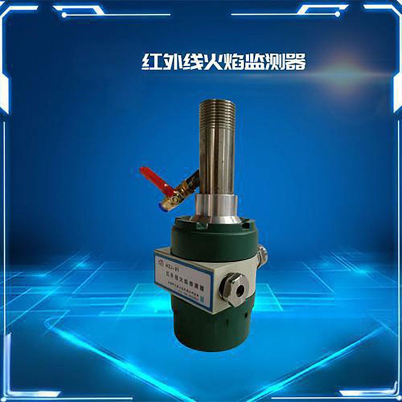 火焰监测仪