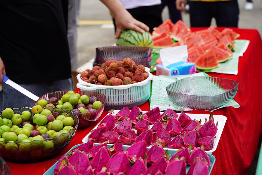 球迷体育
趣味活动甜点