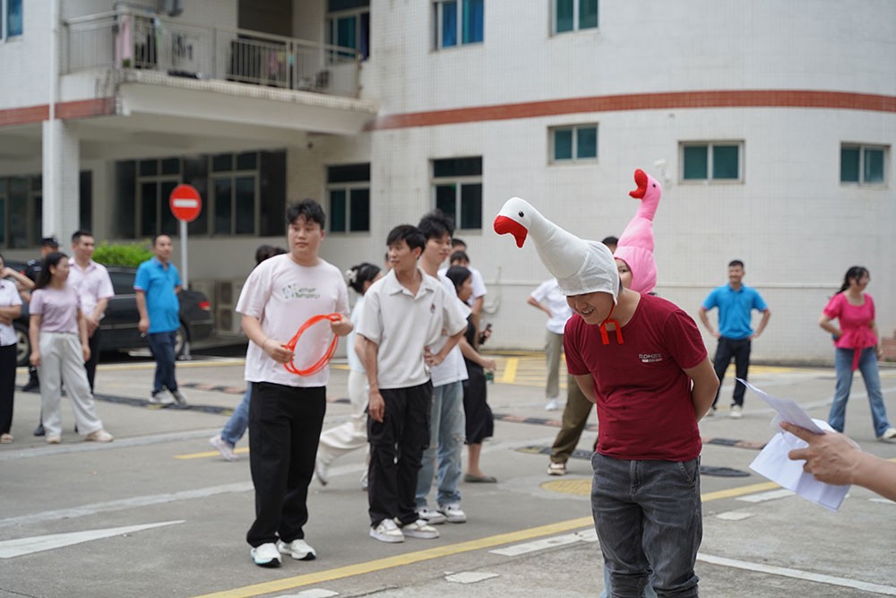 趣味活动套大鹅3