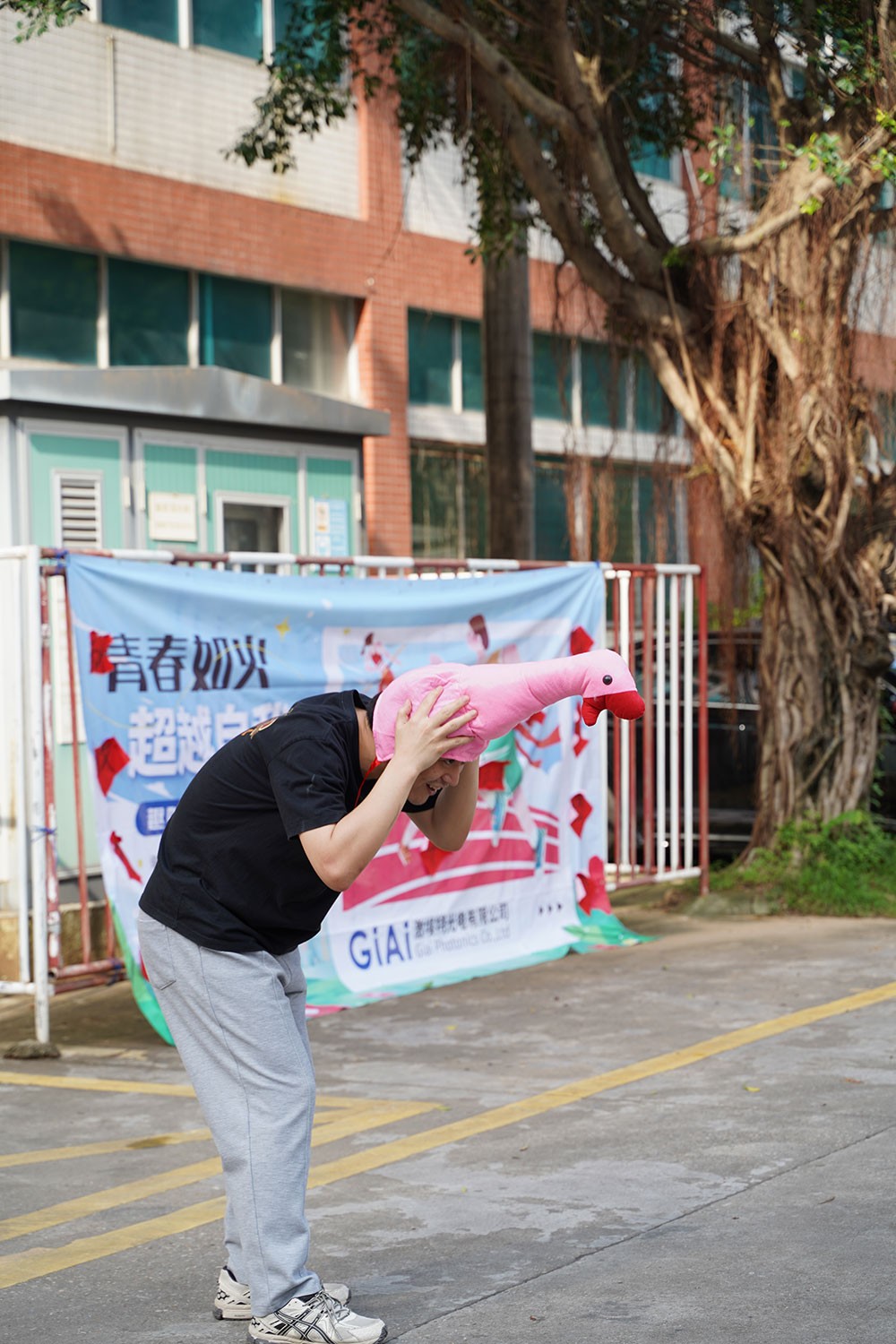 趣味活动套大鹅1