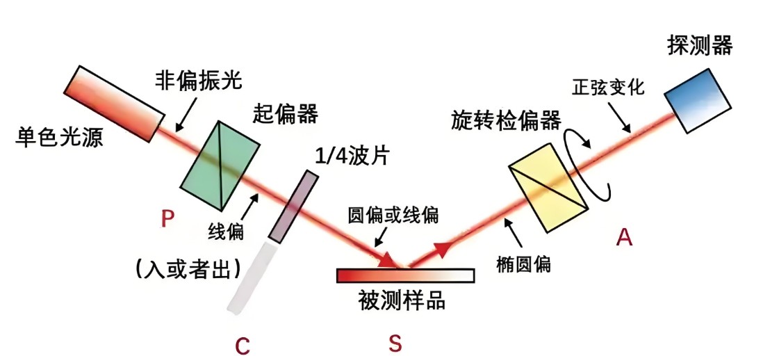 偏振光是如何完成检测的？