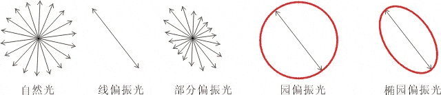 什么是偏振光？偏振光是如何完成检测的？