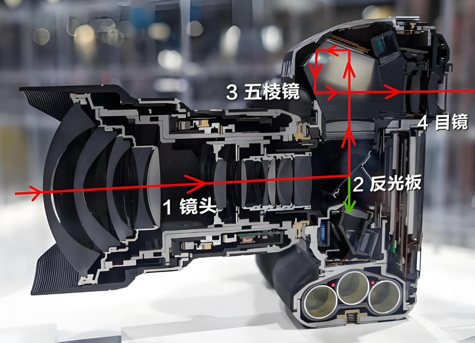 单反相机光路