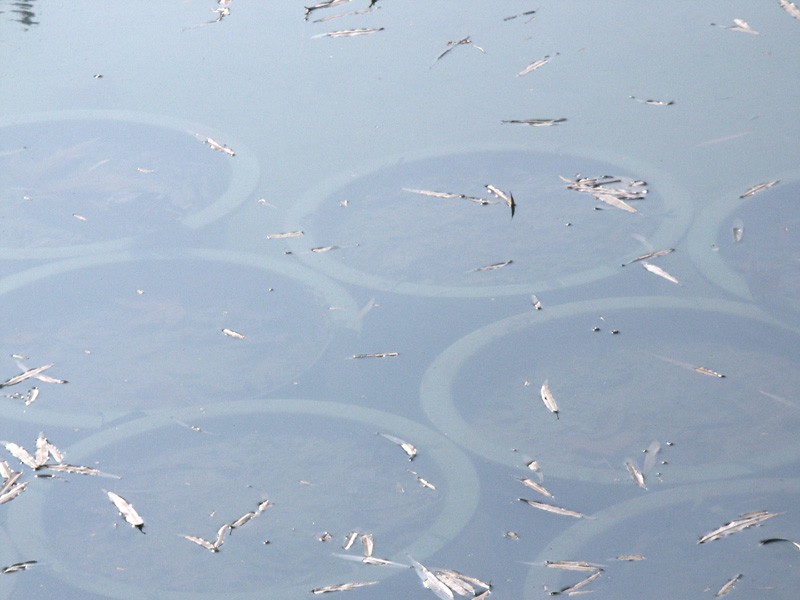 偏振镜光学原理和在机器视觉中的应用