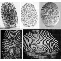 最早的指纹识别在中国--指纹识别发展史