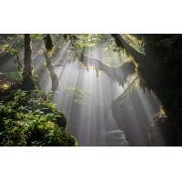 光的干涉、衍射、折射、反射、散射