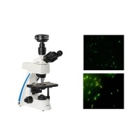 荧光显微镜光学镜片分析