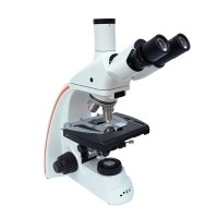 偏光显微镜的工作原理