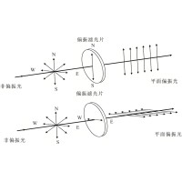 光的魔术师：偏光镜如何塑造人类的光学世界